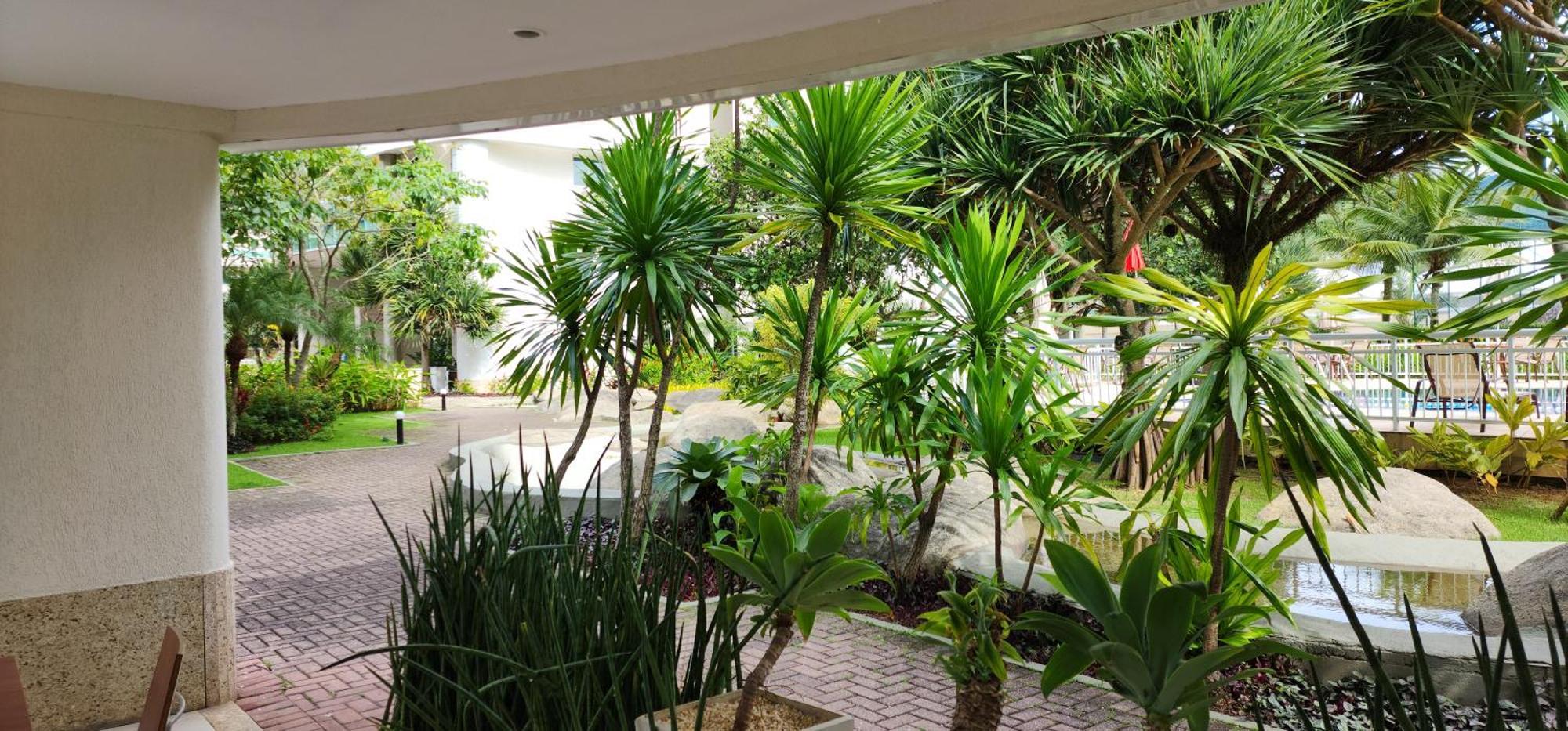 Apartamento Barra - Luxo, Piscina, Sauna E Automacao